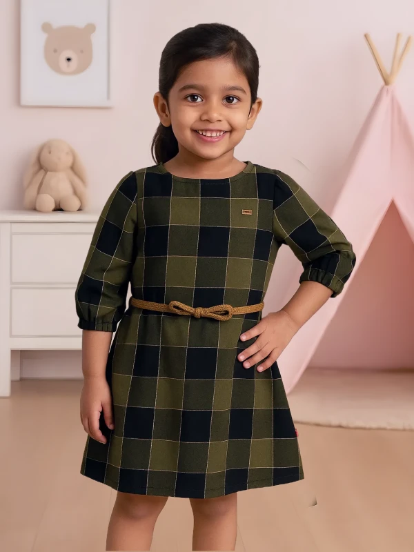 Stylish Olive & Black Checked Dress